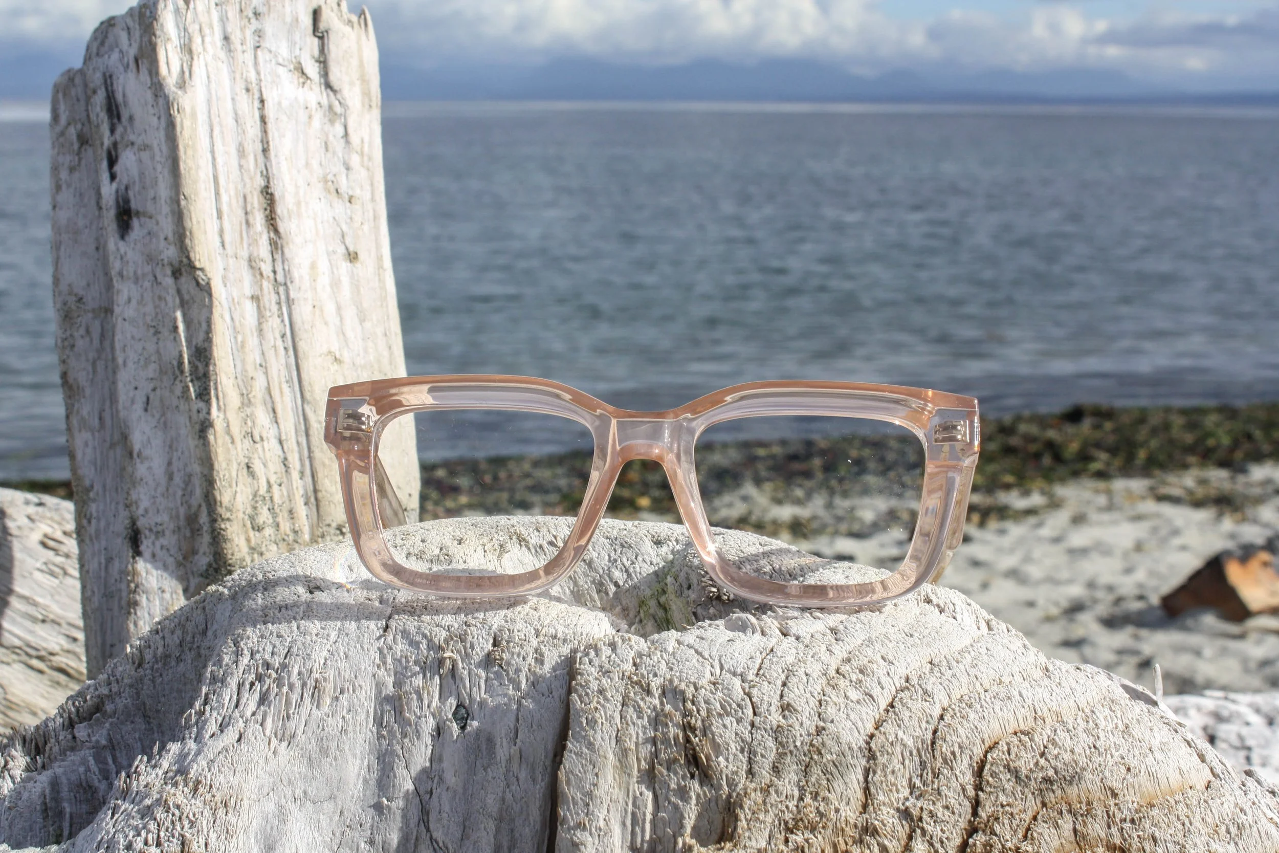 Shop JezeBeL Frames — Secure Vision Mobile Optical